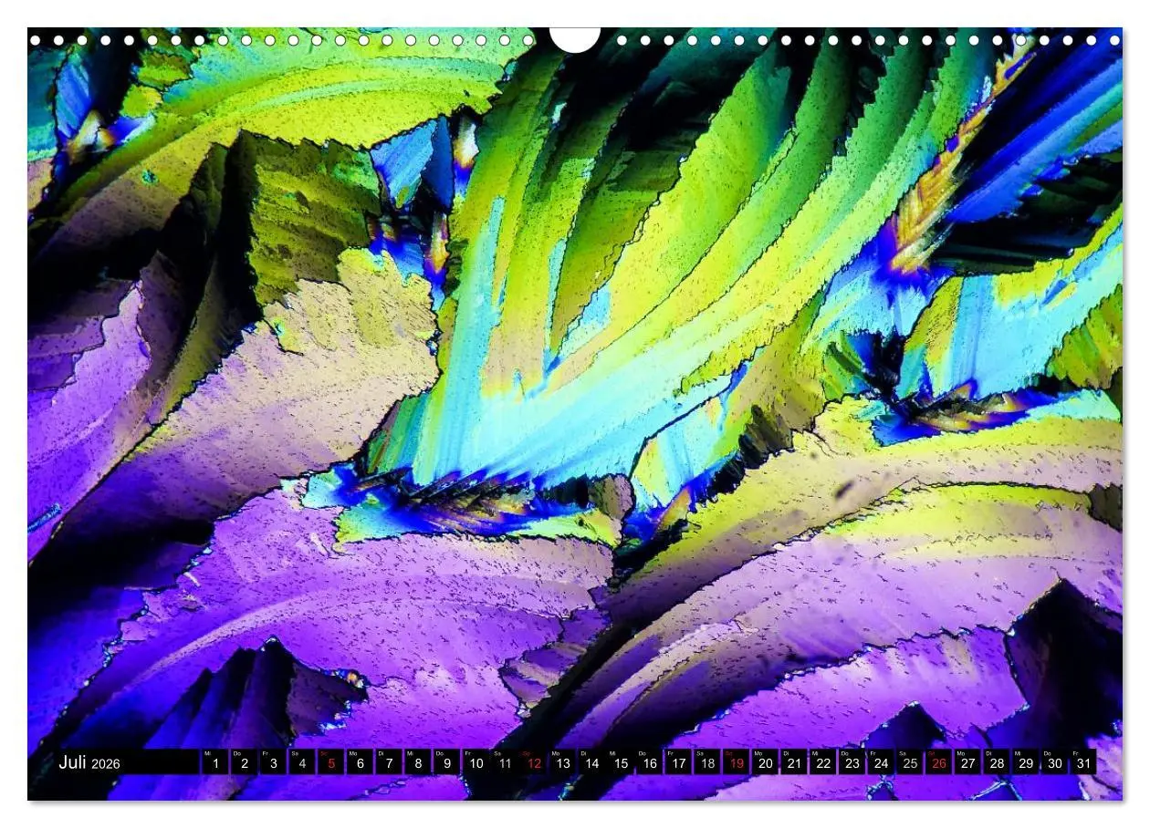 Bild: 9783516063066 | Mikrokristalle in polarisiertem Licht (Wandkalender 2026 DIN A3...