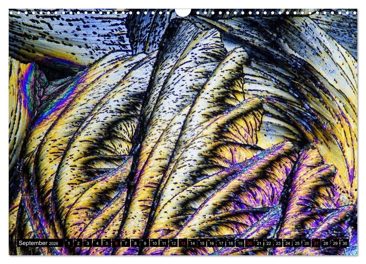 Bild: 9783516063066 | Mikrokristalle in polarisiertem Licht (Wandkalender 2026 DIN A3...