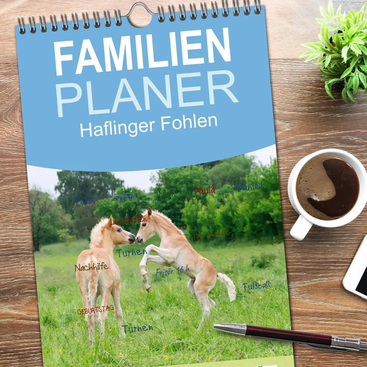 Bild: 9783516513066 | Familienplaner 2026 - Haflinger Fohlen mit 5 Spalten (Wandkalender,...