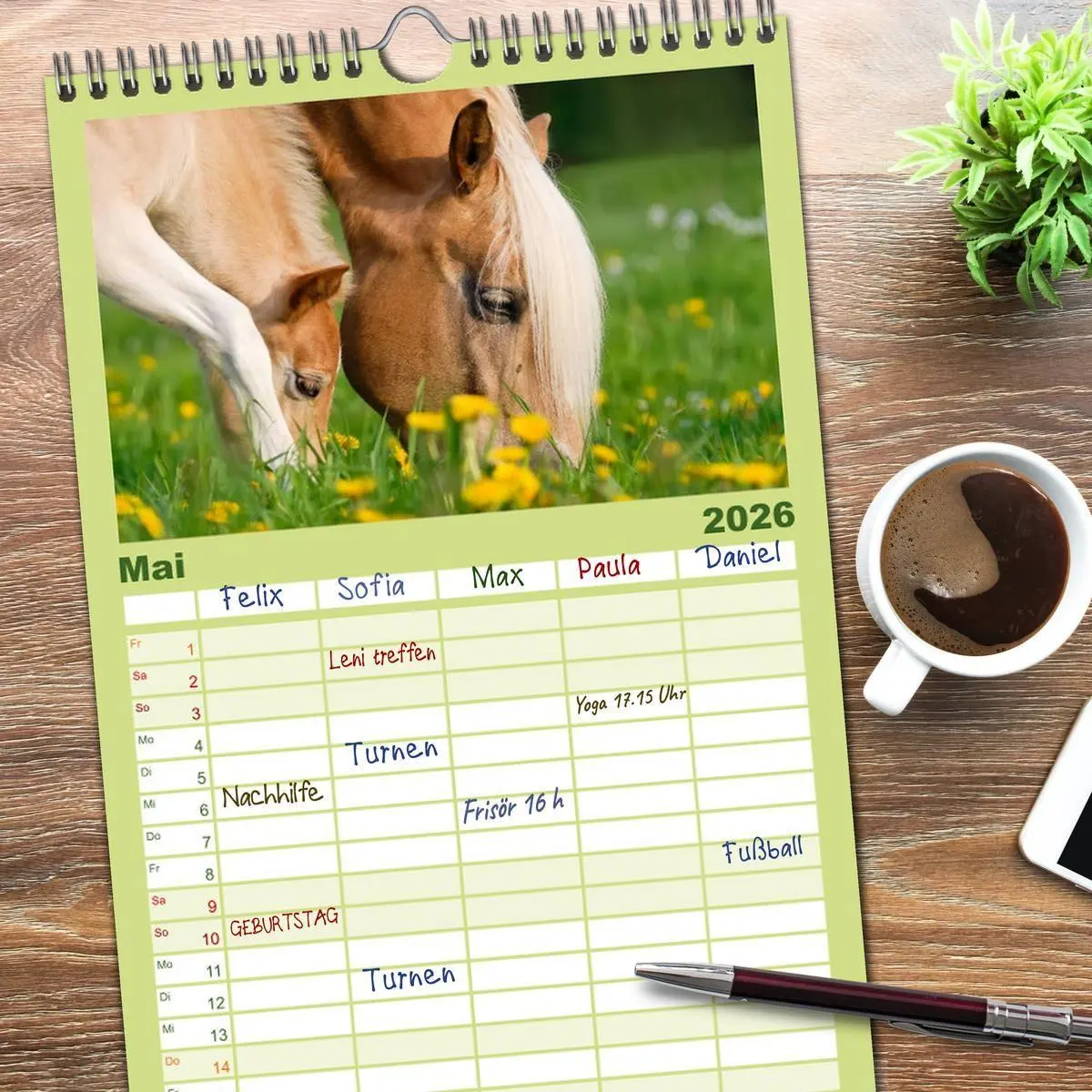 Bild: 9783516513066 | Familienplaner 2026 - Haflinger Fohlen mit 5 Spalten (Wandkalender,...