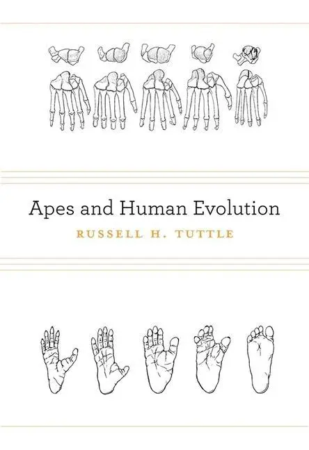 Cover: 9780674073166 | Apes and Human Evolution | Russell H. Tuttle | Buch | Gebunden | 2014