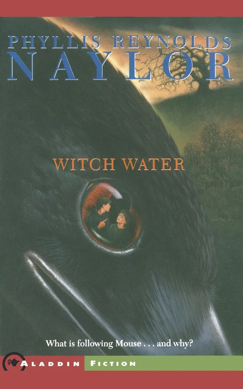 Cover: 9780689853166 | Witch Water | Phyllis Reynolds Naylor | Taschenbuch | Englisch | 2002