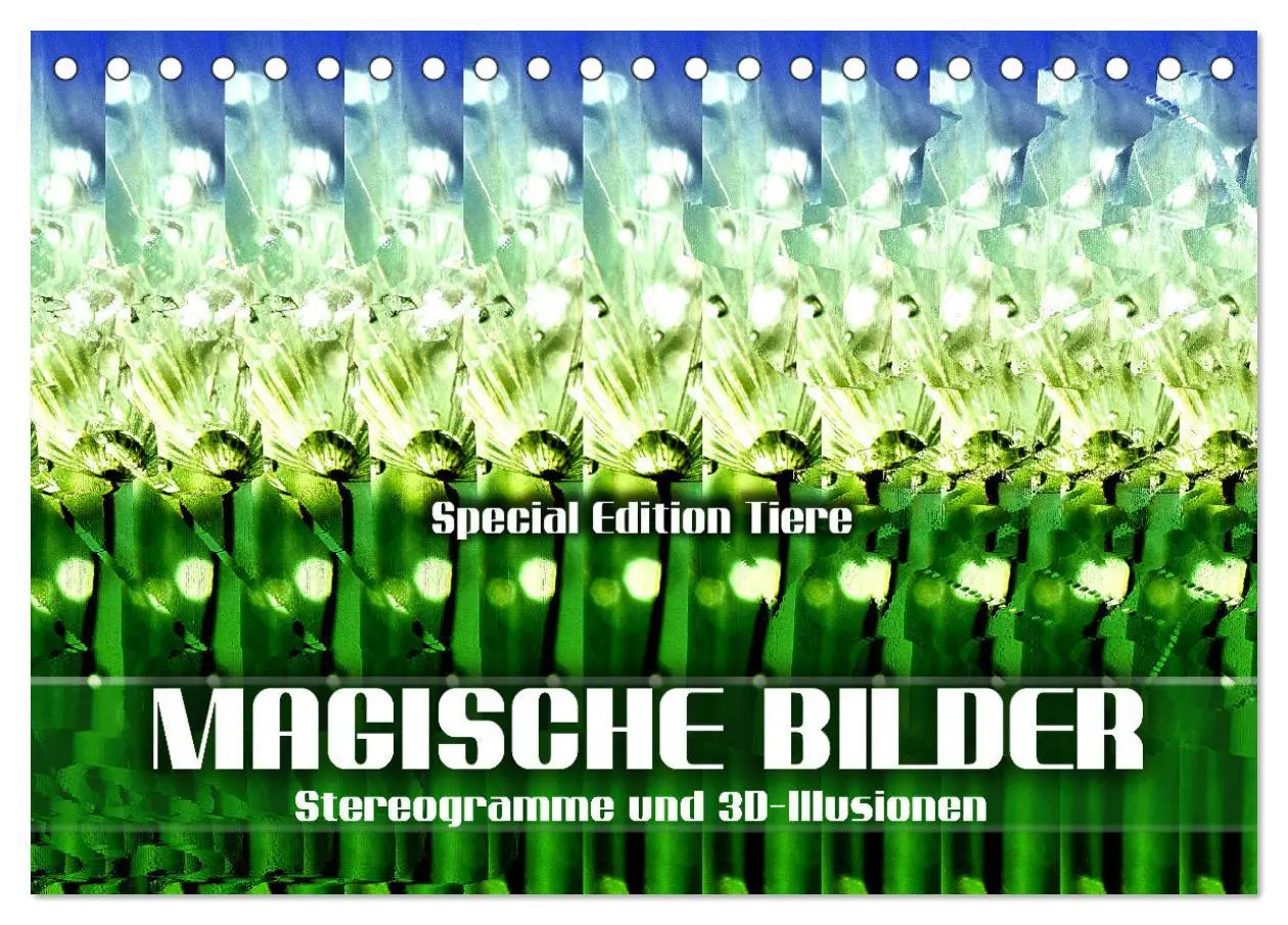 Cover: 9783457413166 | Magische Bilder - Stereogramme und 3D-Illusionen (Tischkalender...
