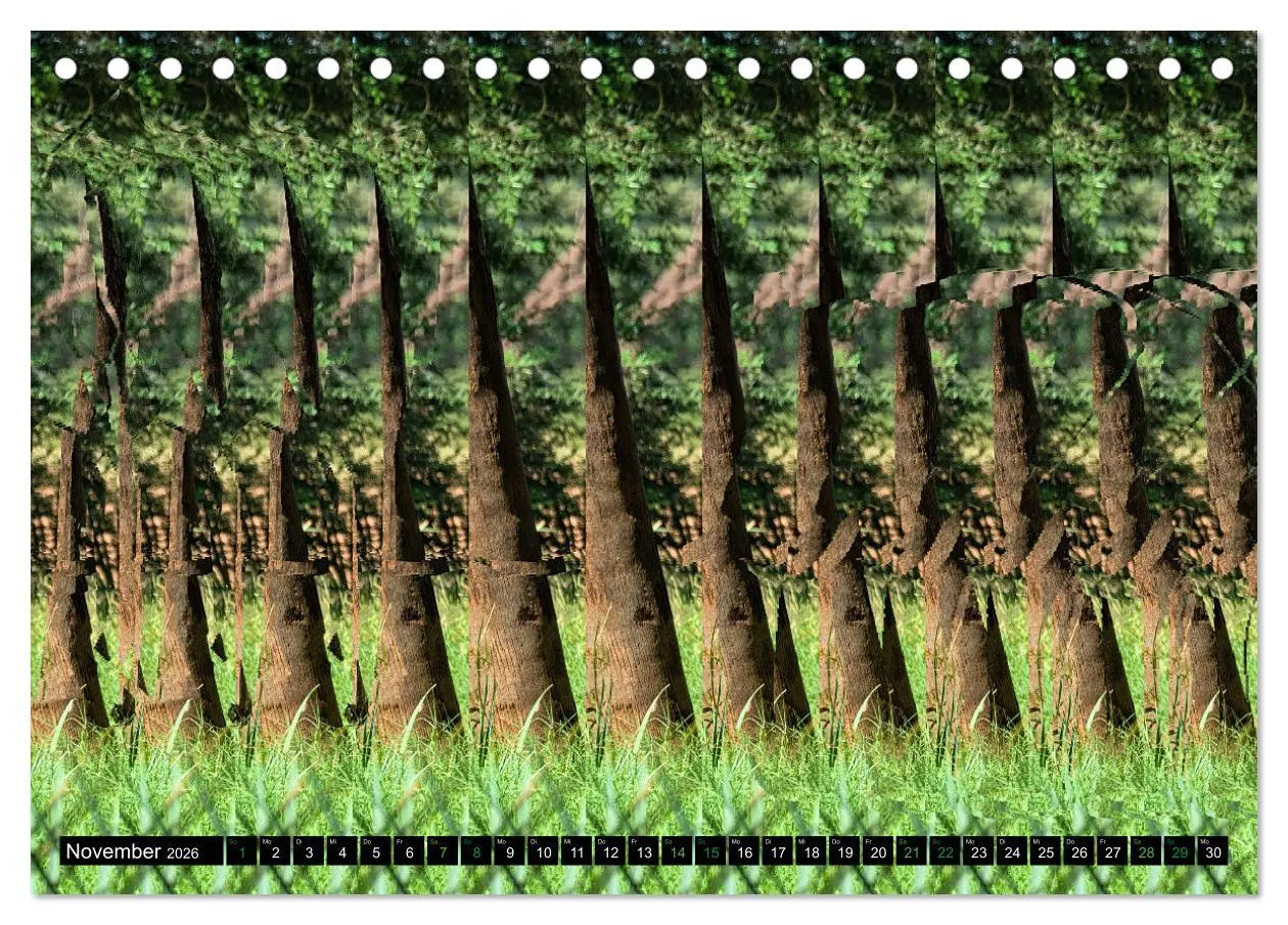 Bild: 9783457413166 | Magische Bilder - Stereogramme und 3D-Illusionen (Tischkalender...
