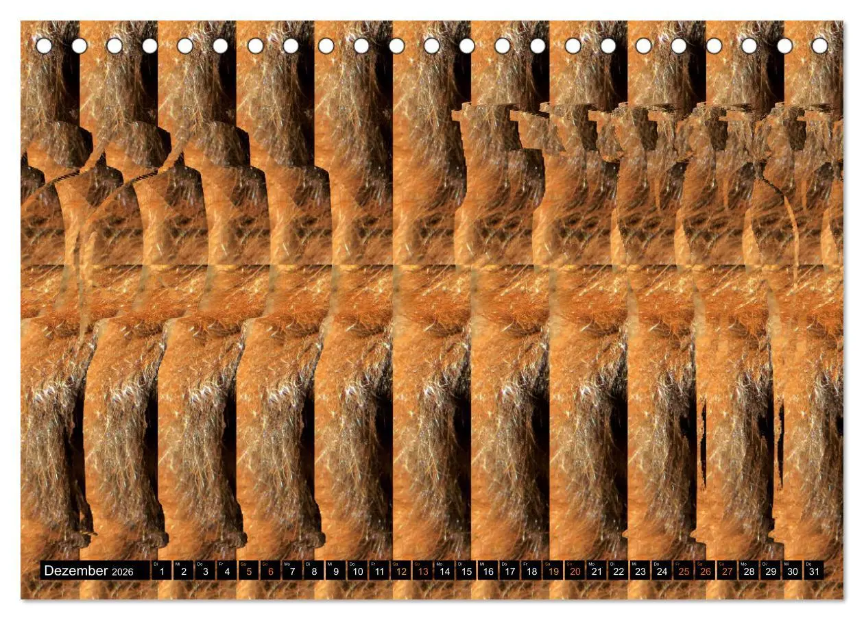 Bild: 9783457413166 | Magische Bilder - Stereogramme und 3D-Illusionen (Tischkalender...