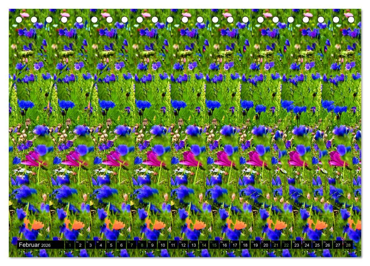 Bild: 9783457413166 | Magische Bilder - Stereogramme und 3D-Illusionen (Tischkalender...