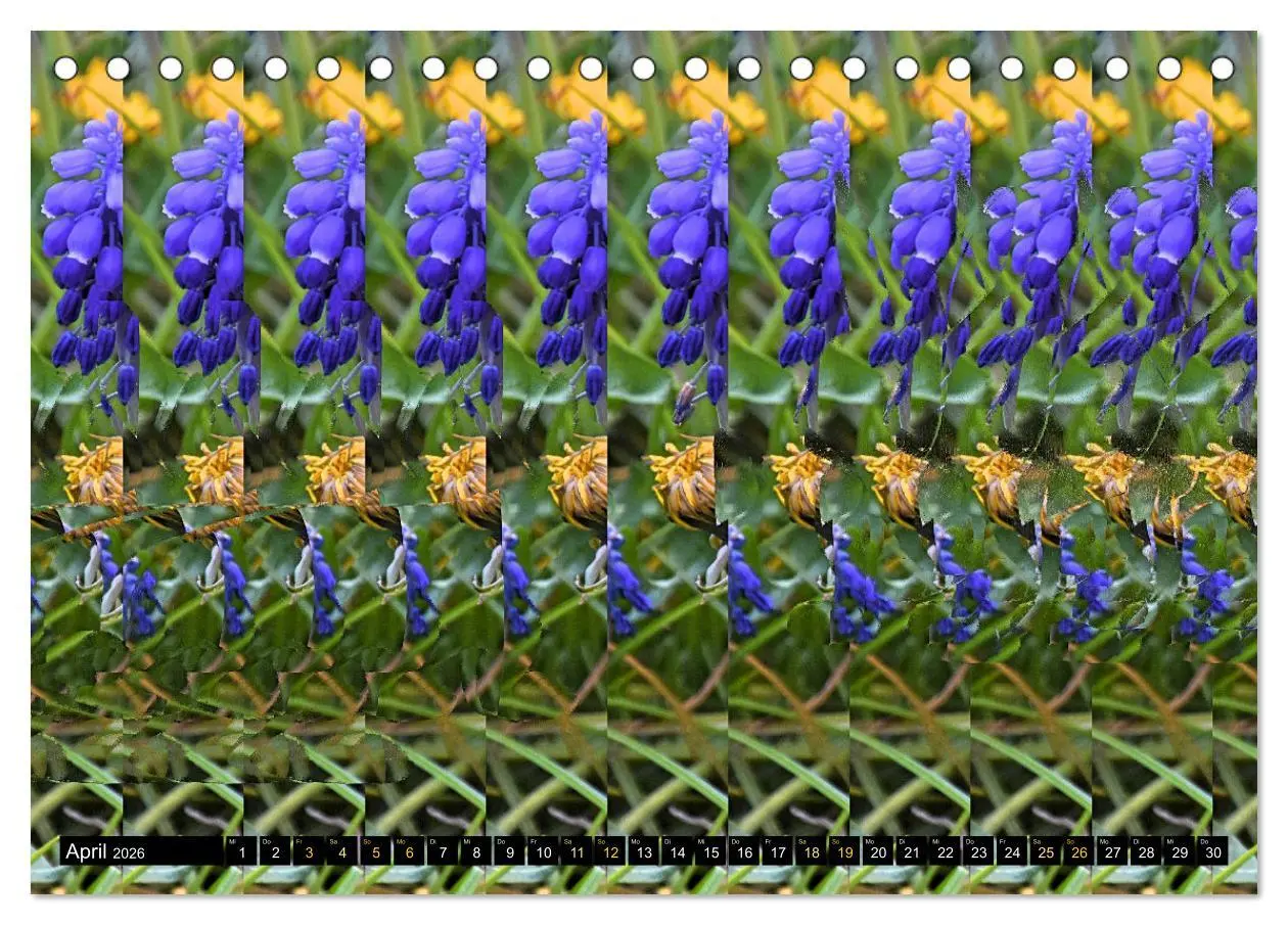Bild: 9783457413166 | Magische Bilder - Stereogramme und 3D-Illusionen (Tischkalender...