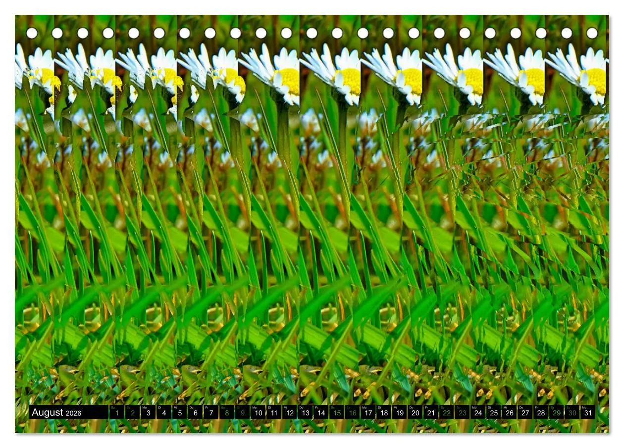 Bild: 9783457413166 | Magische Bilder - Stereogramme und 3D-Illusionen (Tischkalender...
