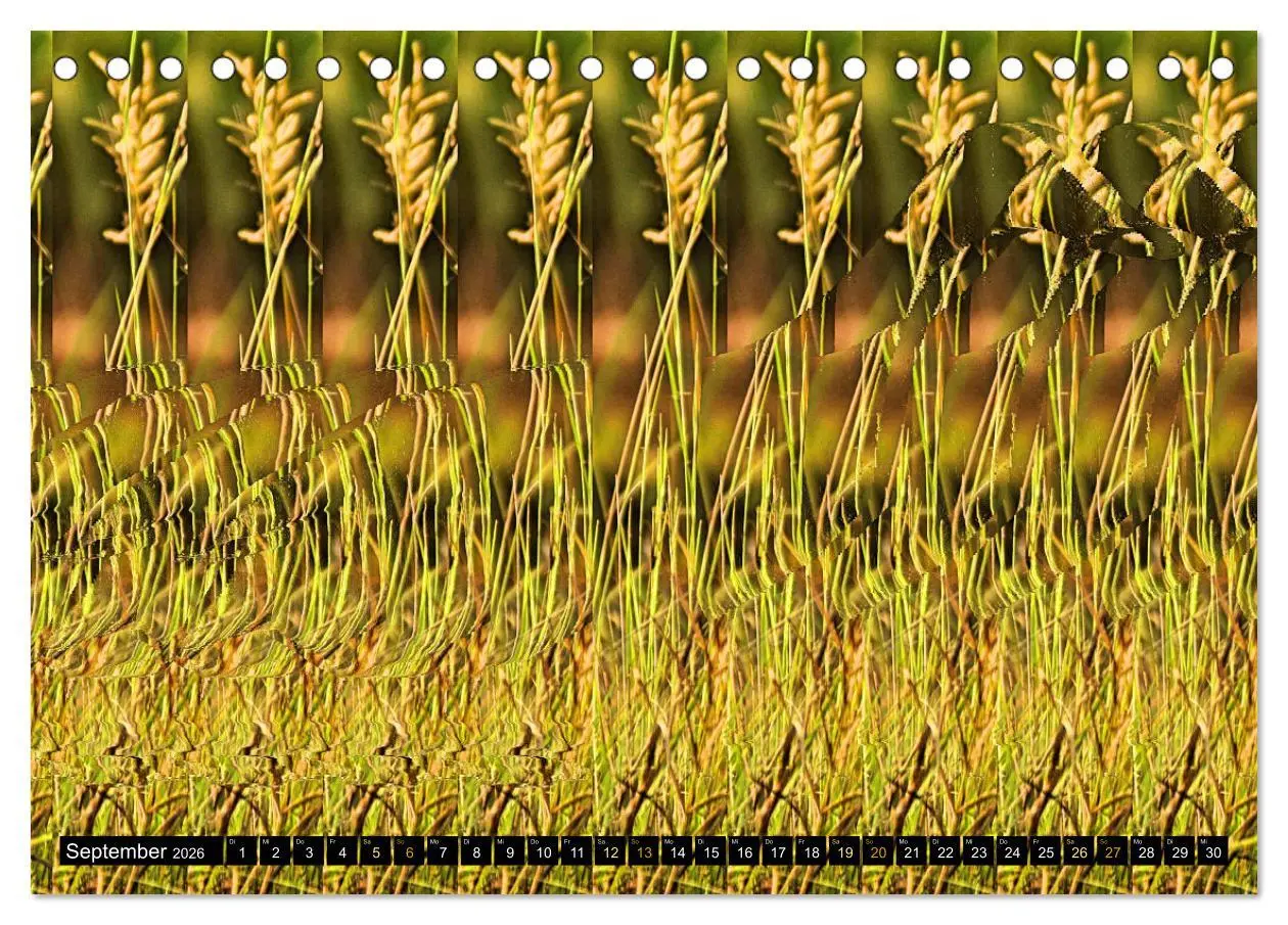 Bild: 9783457413166 | Magische Bilder - Stereogramme und 3D-Illusionen (Tischkalender...