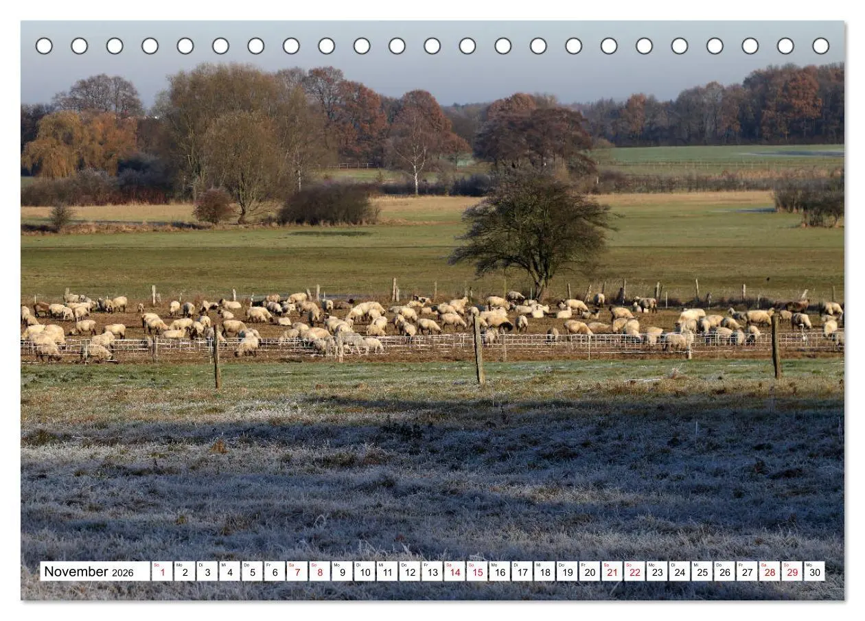 Bild: 9783457893166 | Impressionen aus Isernhagen (Tischkalender 2026 DIN A5 quer),...