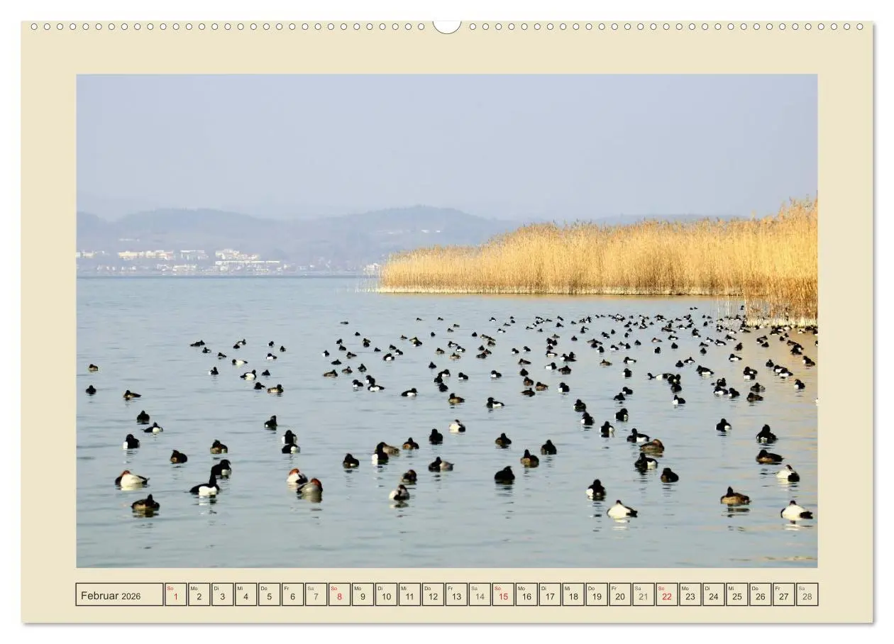 Bild: 9783516123166 | Impressionen vom schönen Bodensee (hochwertiger Premium...
