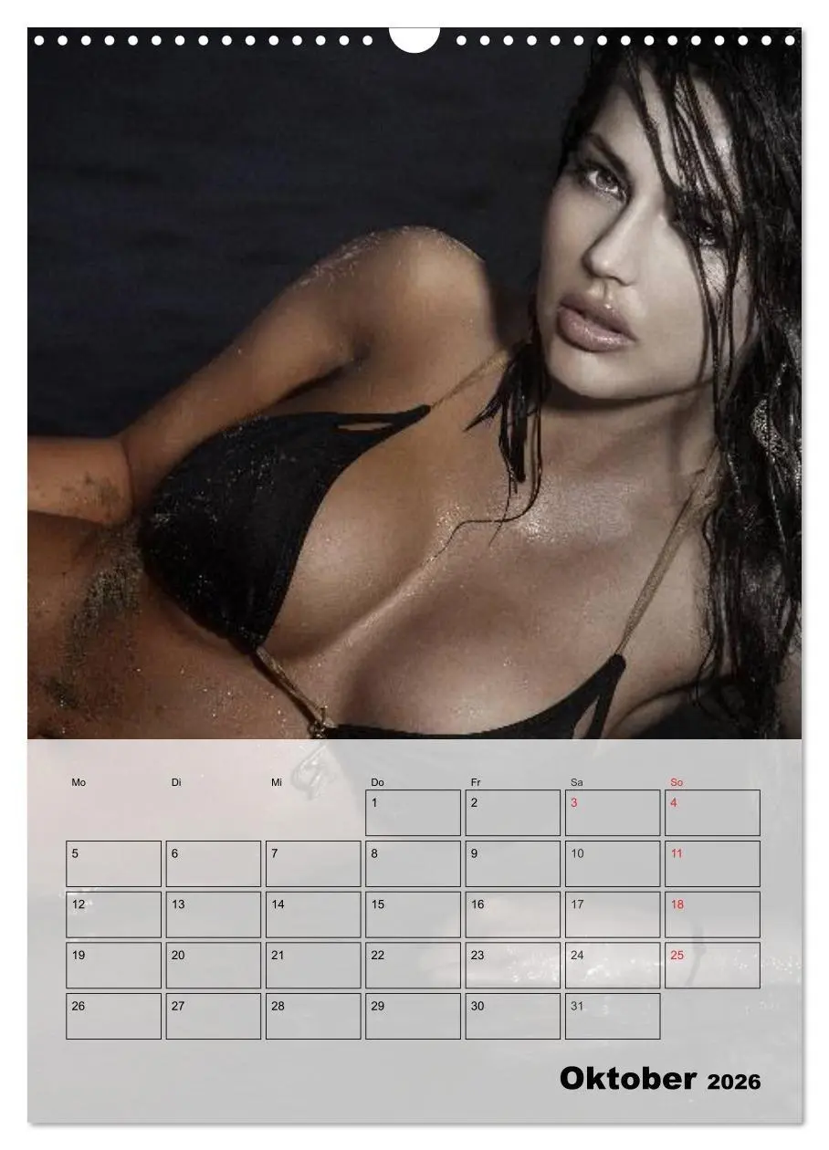 Bild: 9783516433166 | Erotik. Sinnliche Faszination (Wandkalender 2026 DIN A3 hoch),...