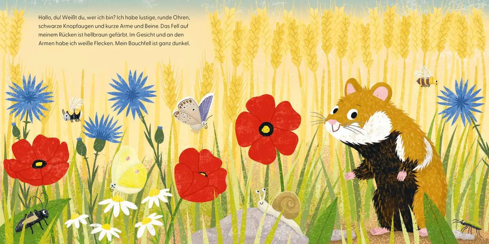 Bild: 9783737373166 | Kennst du mich? Ich bin ein Hamster! | Andrea Weller-Essers | Buch