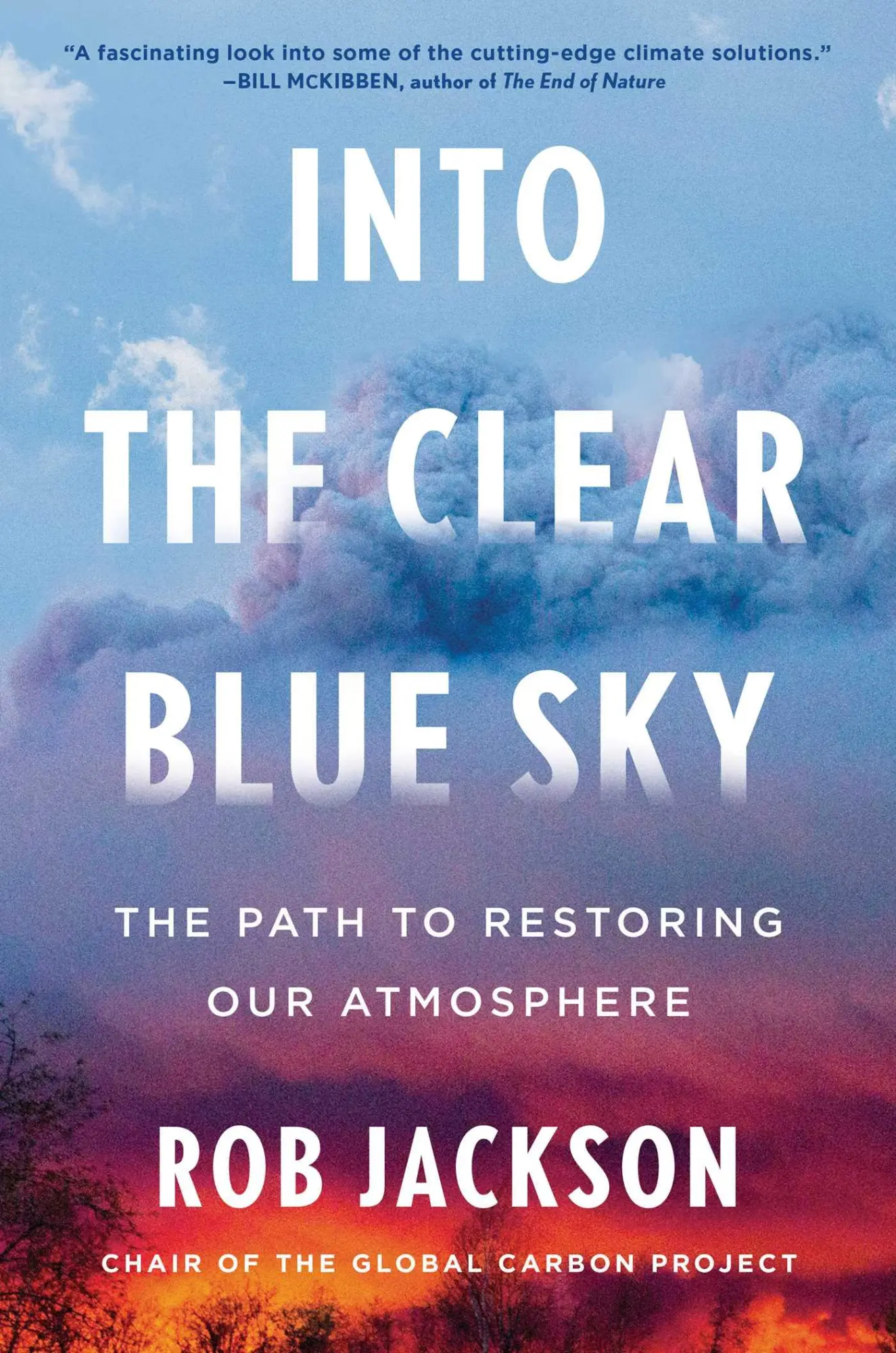 Cover: 9781668023266 | Into the Clear Blue Sky | The Path to Restoring Our Atmosphere | Buch