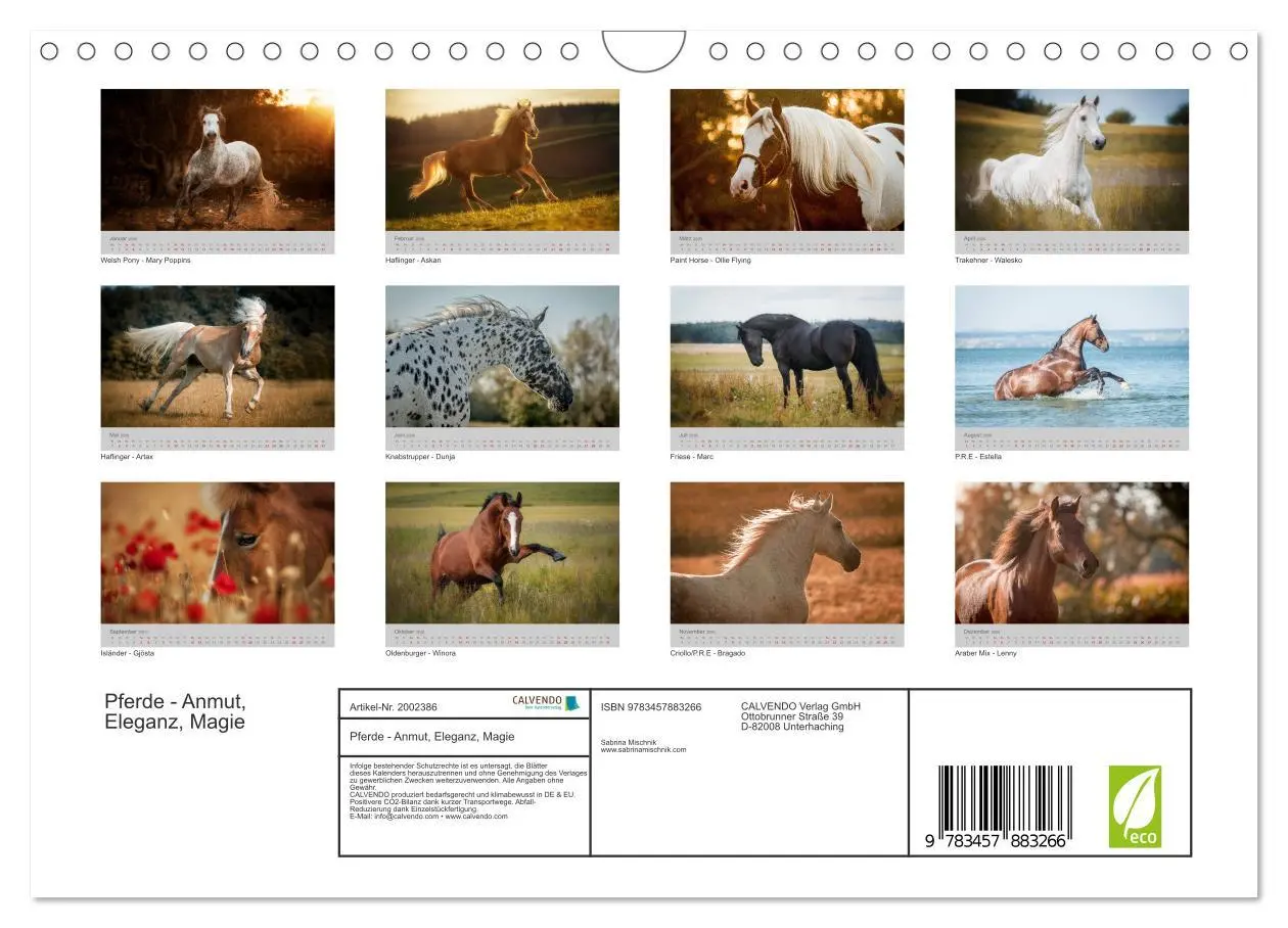 Bild: 9783457883266 | Pferde - Anmut, Eleganz, Magie (Wandkalender 2026 DIN A4 quer),...
