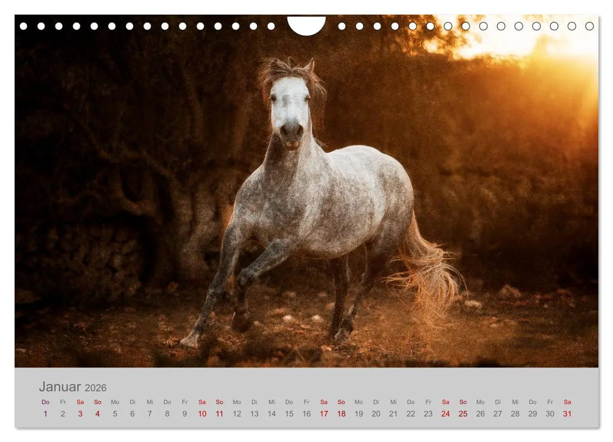 Bild: 9783457883266 | Pferde - Anmut, Eleganz, Magie (Wandkalender 2026 DIN A4 quer),...