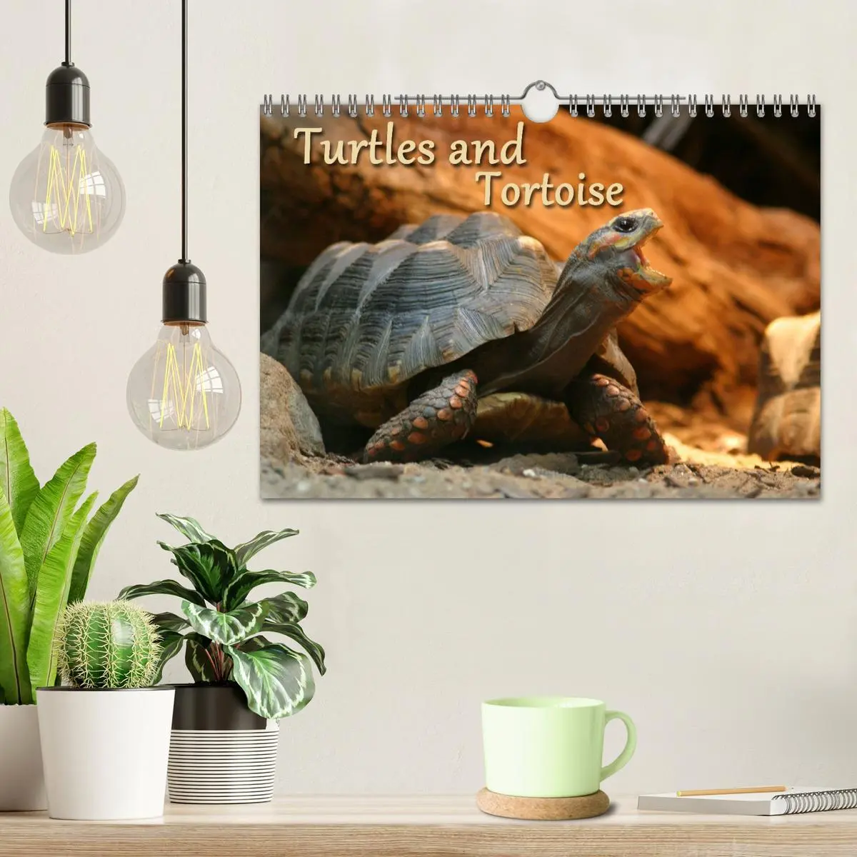 Bild: 9783516583366 | Turtles and Tortoise / UK-Version (Wall Calendar 2026 DIN A4...