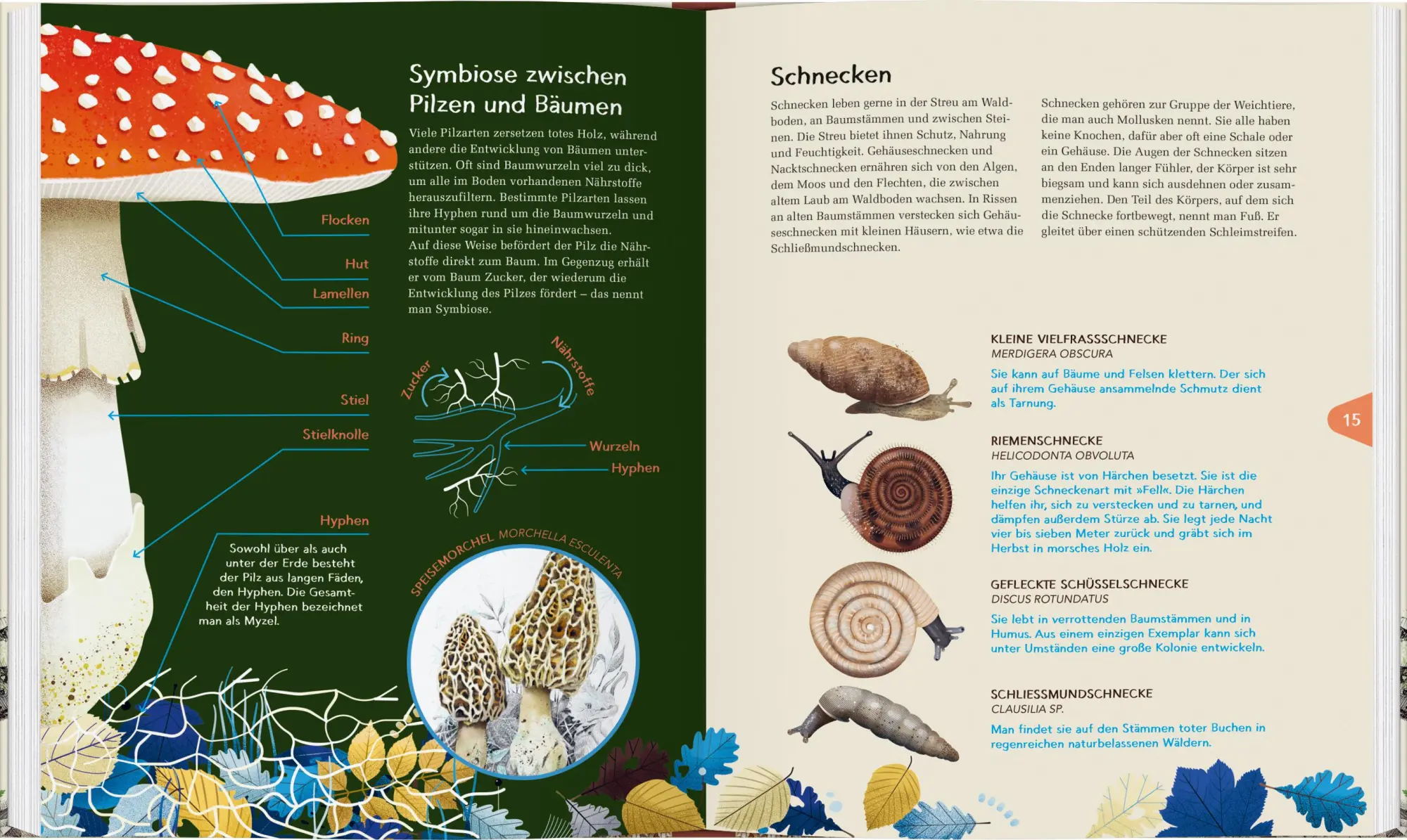 Bild: 9783836963466 | Das zweite Leben der Bäume | Maciej Michno (u. a.) | Buch | 48 S.