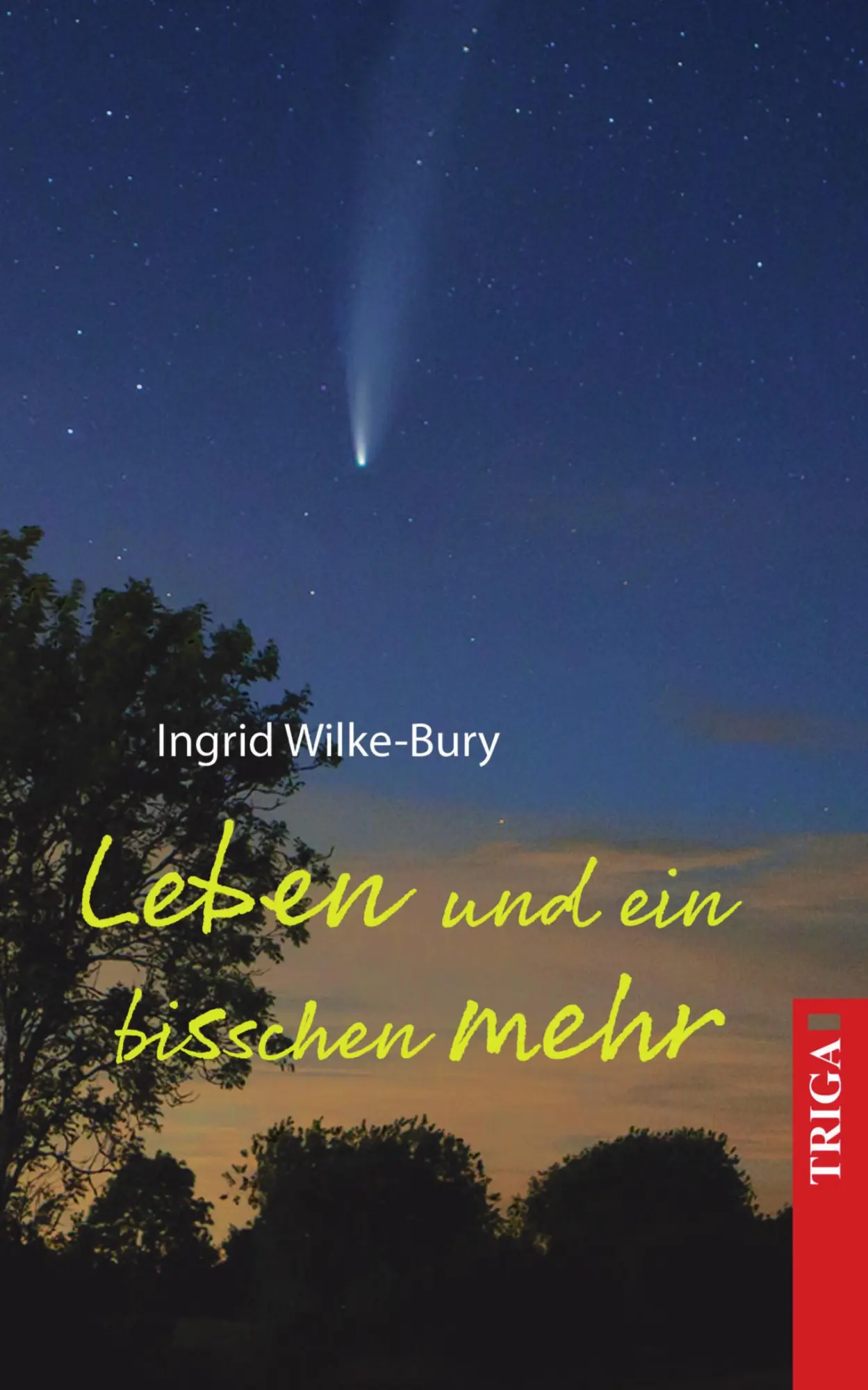 Cover: 9783958283466 | Leben und ein bisschen mehr | Erinnerungen | Ingrid Wilke-Bury | Buch