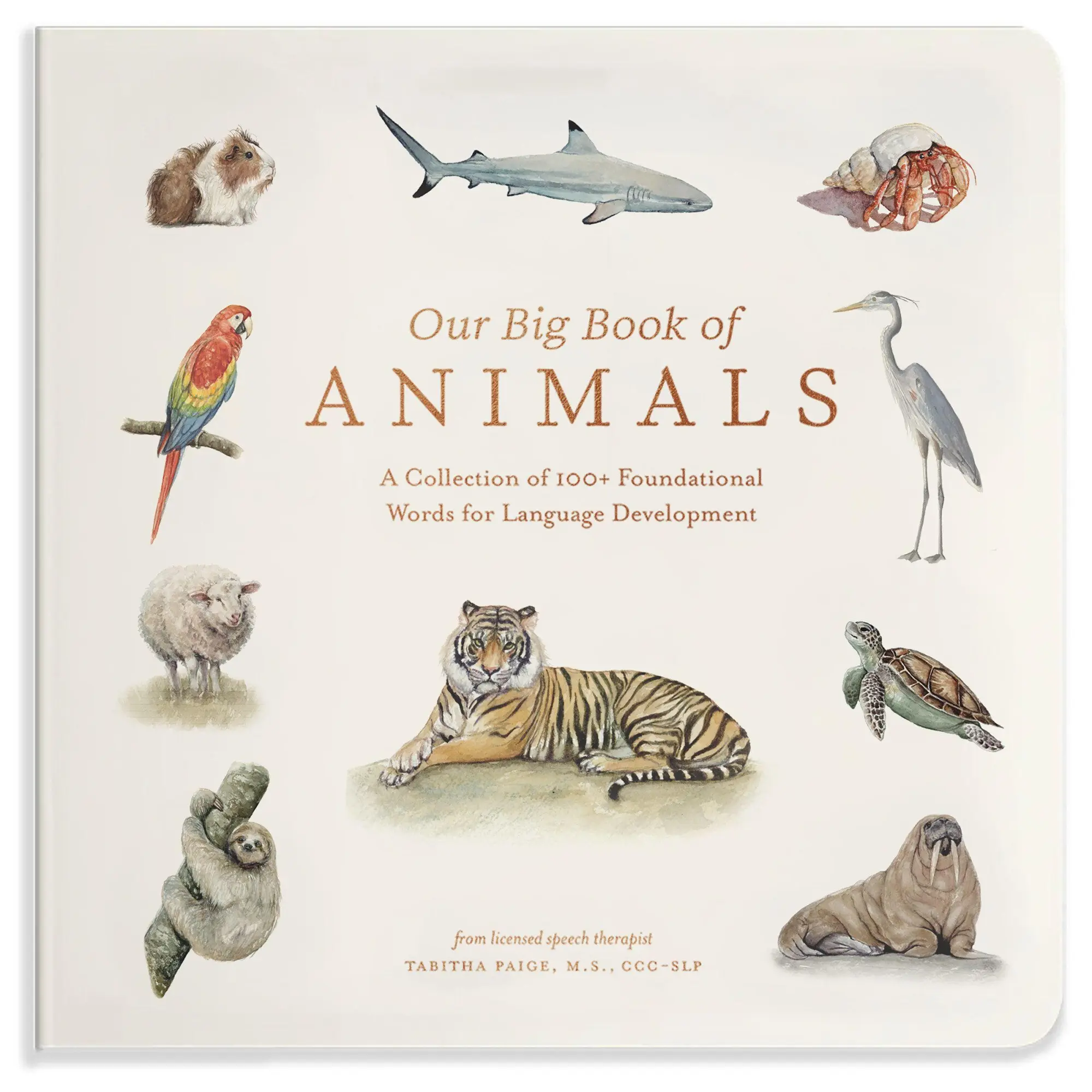 Cover: 9781963183566 | Our Big Book of Animals | Tabitha Paige | Buch | Kinder-Pappbuch