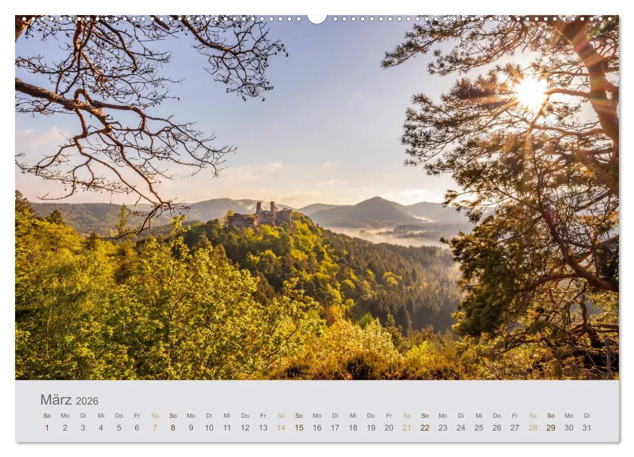 Bild: 9783457783566 | Augenblicke im Pfälzerwald (Wandkalender 2026 DIN A2 quer),...