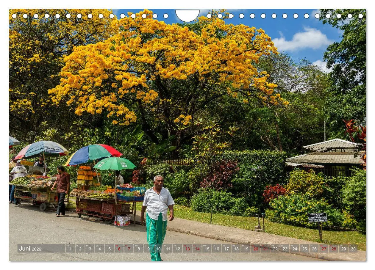 Bild: 9783457853566 | Reise nach Sri Lanka (Wandkalender 2026 DIN A4 quer), CALVENDO...
