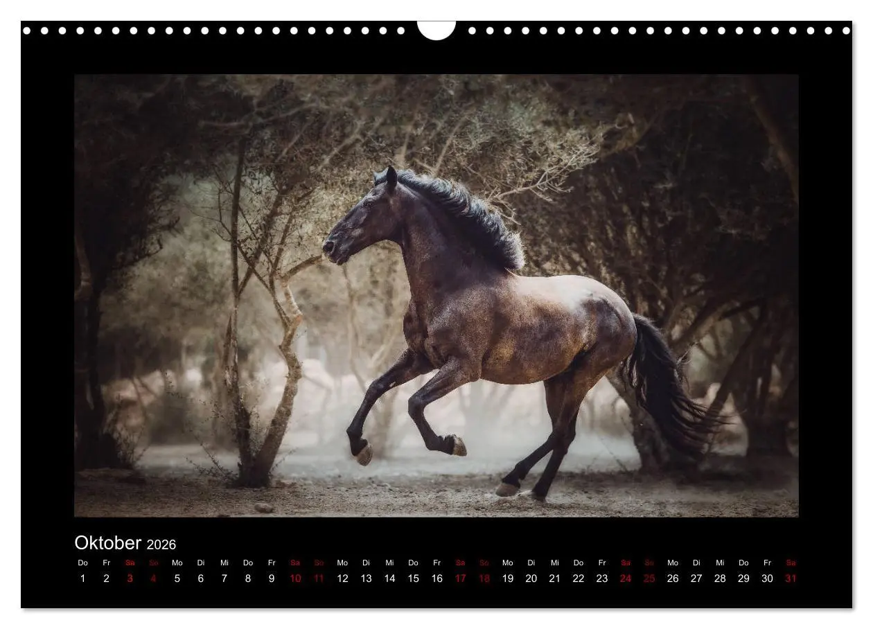 Bild: 9783457923566 | Die Faszinierende Welt der Pferde (Wandkalender 2026 DIN A3 quer),...