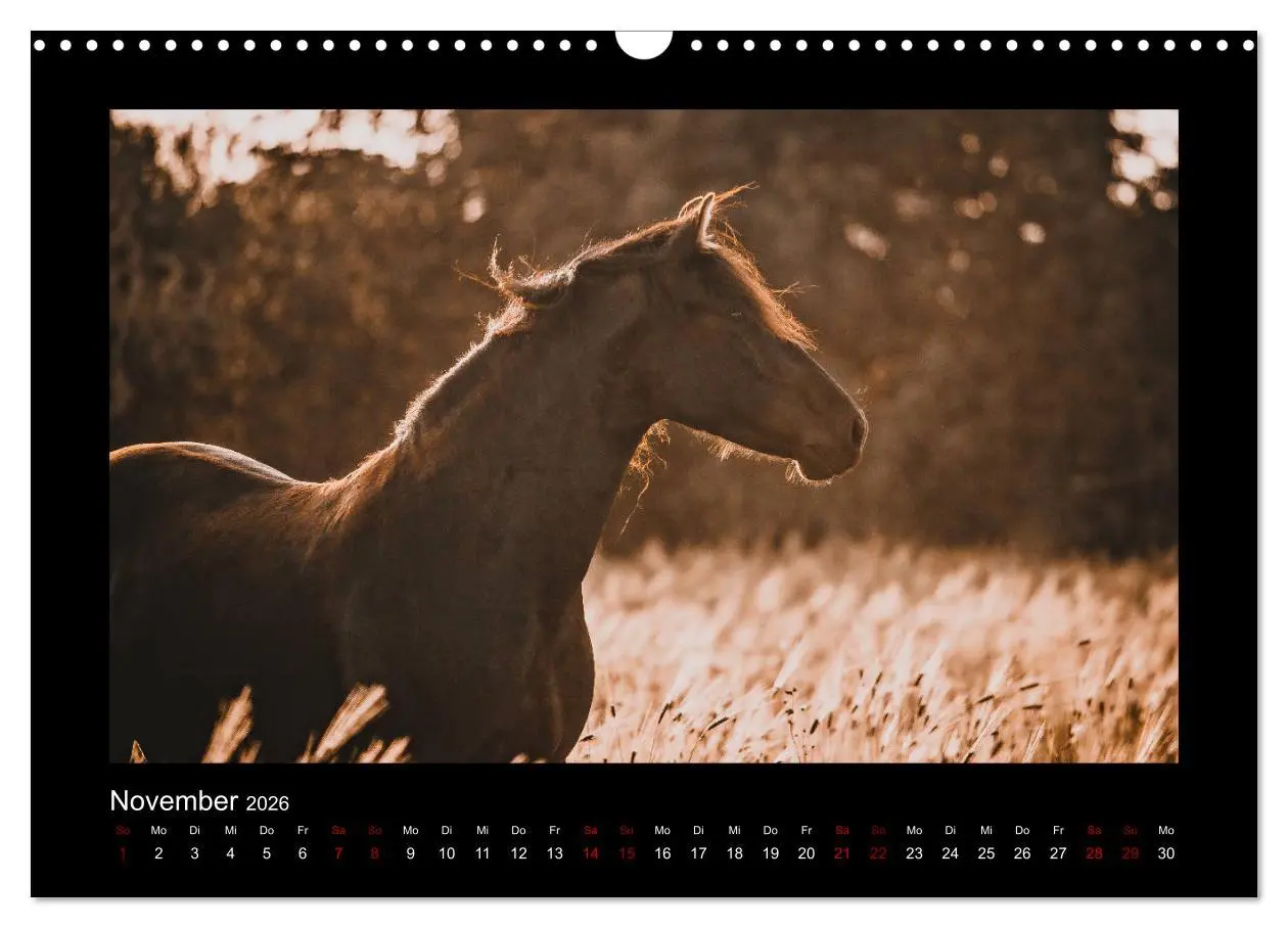 Bild: 9783457923566 | Die Faszinierende Welt der Pferde (Wandkalender 2026 DIN A3 quer),...
