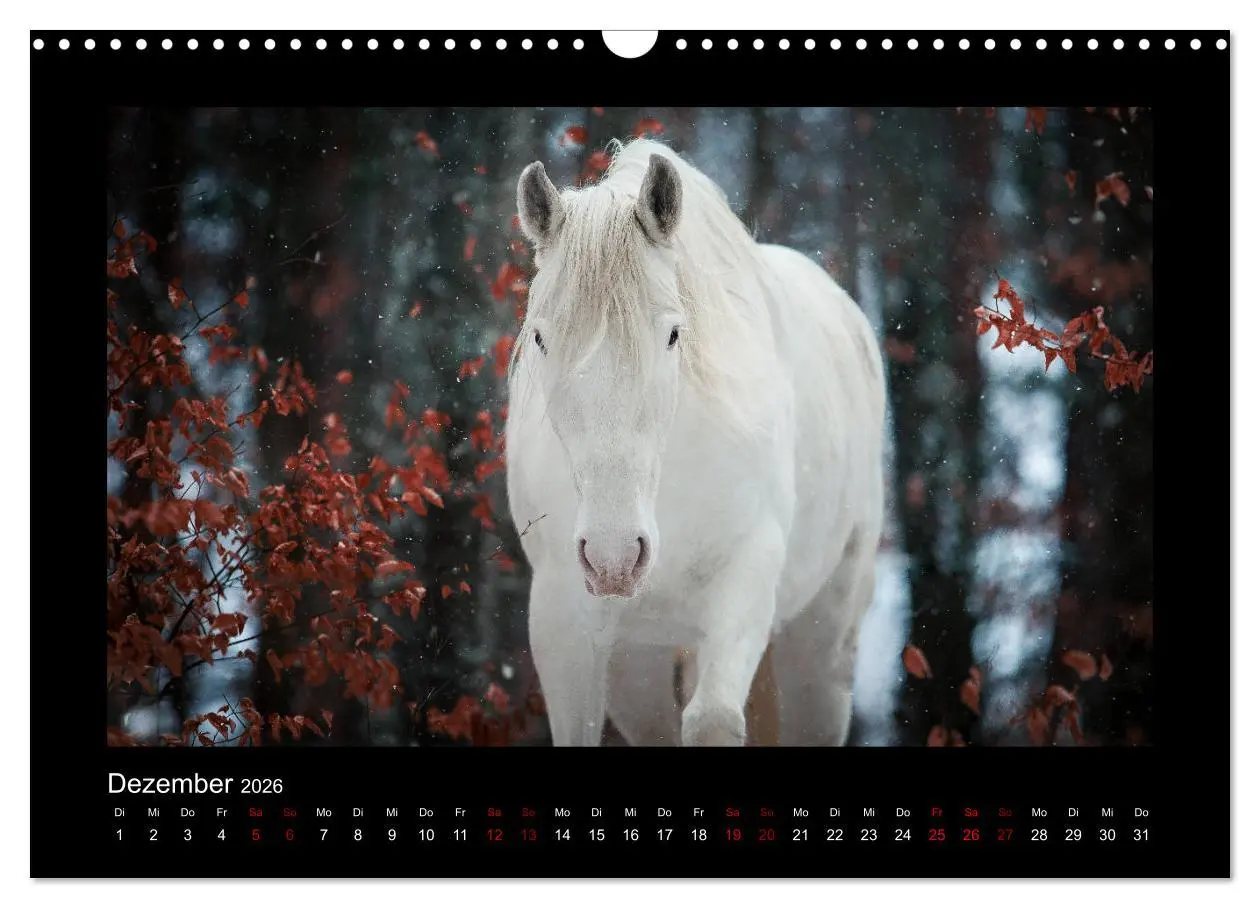 Bild: 9783457923566 | Die Faszinierende Welt der Pferde (Wandkalender 2026 DIN A3 quer),...