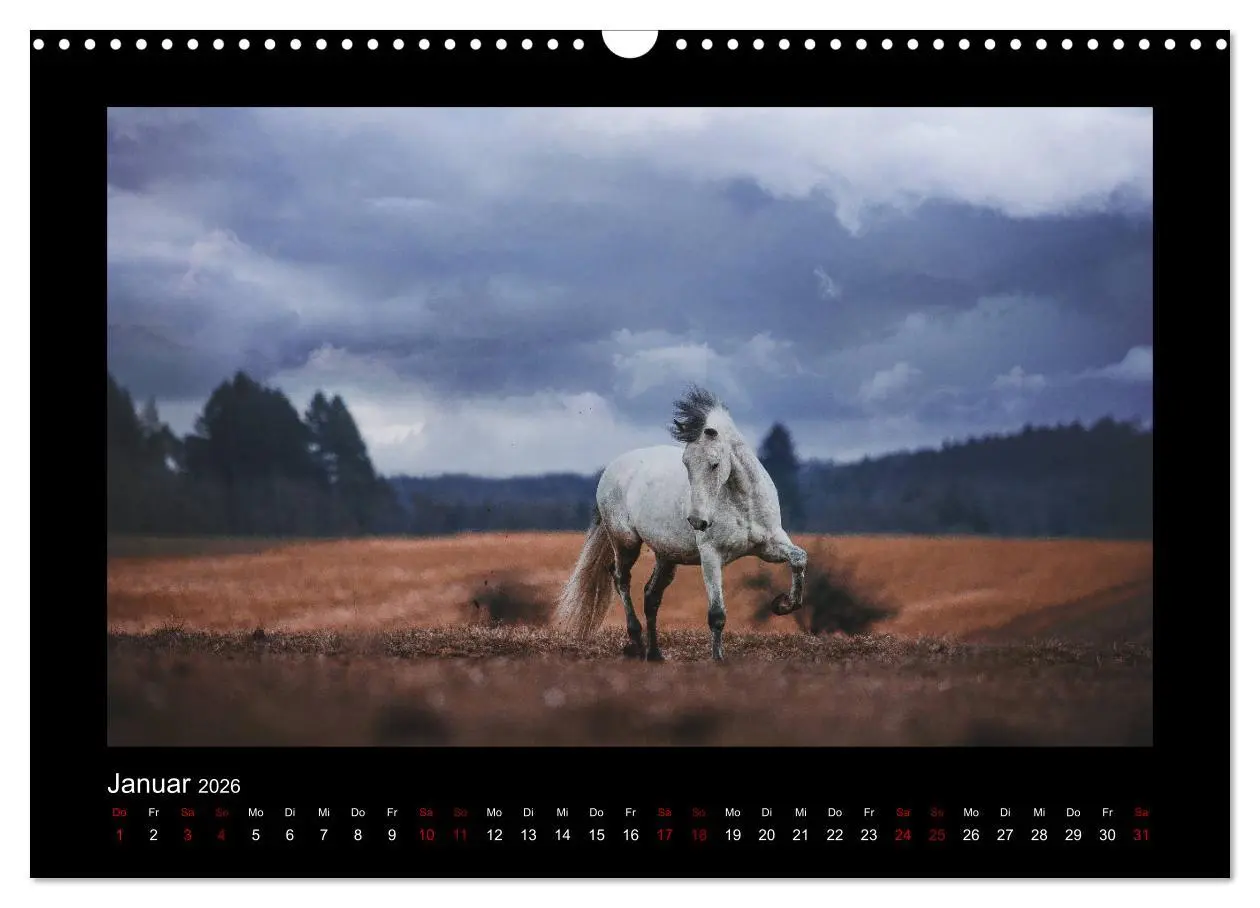 Bild: 9783457923566 | Die Faszinierende Welt der Pferde (Wandkalender 2026 DIN A3 quer),...