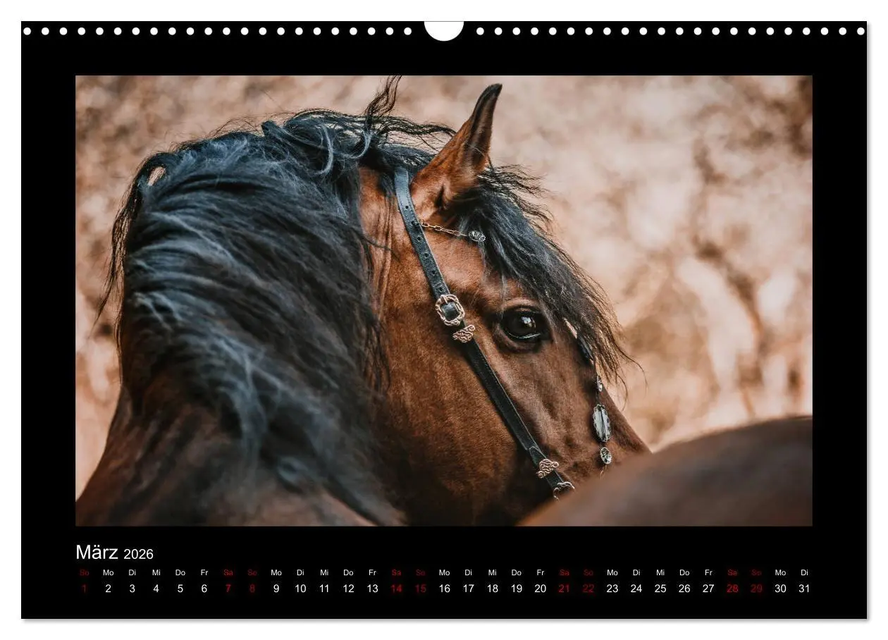 Bild: 9783457923566 | Die Faszinierende Welt der Pferde (Wandkalender 2026 DIN A3 quer),...