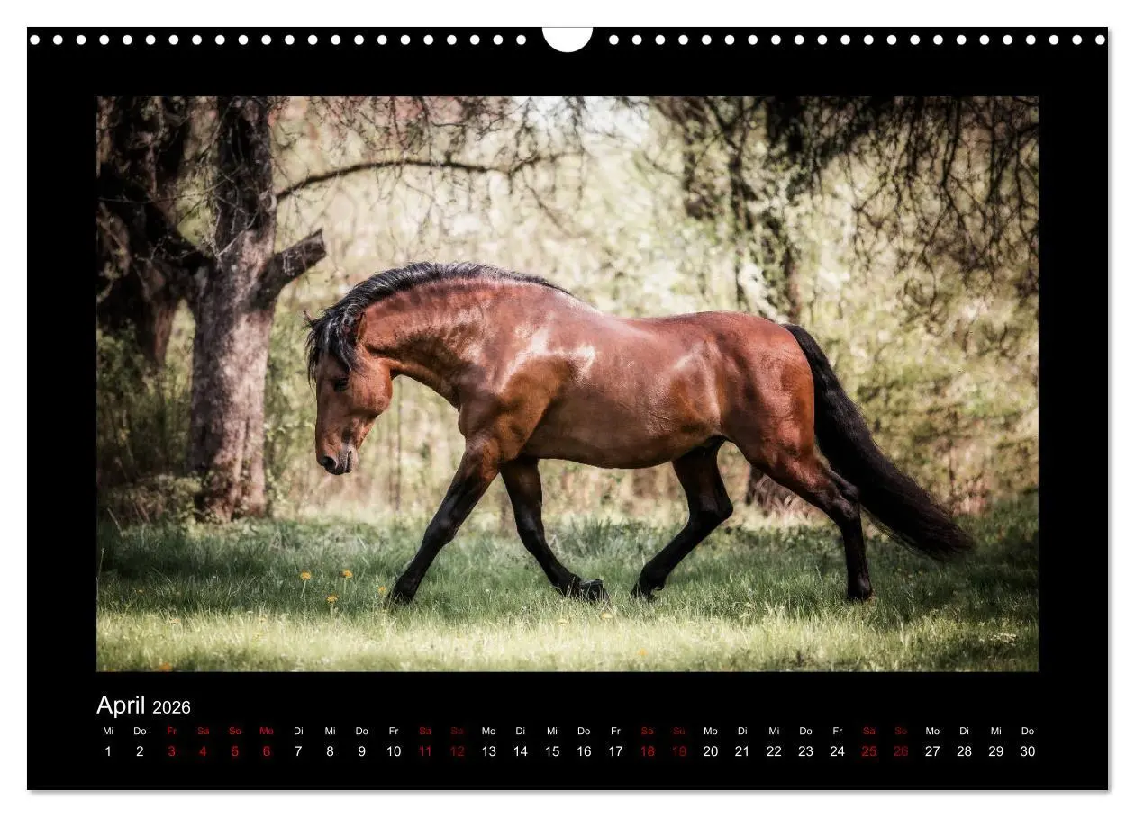 Bild: 9783457923566 | Die Faszinierende Welt der Pferde (Wandkalender 2026 DIN A3 quer),...