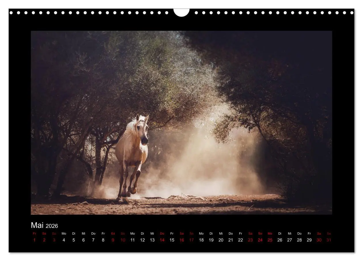 Bild: 9783457923566 | Die Faszinierende Welt der Pferde (Wandkalender 2026 DIN A3 quer),...