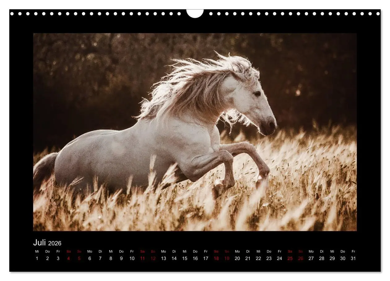 Bild: 9783457923566 | Die Faszinierende Welt der Pferde (Wandkalender 2026 DIN A3 quer),...