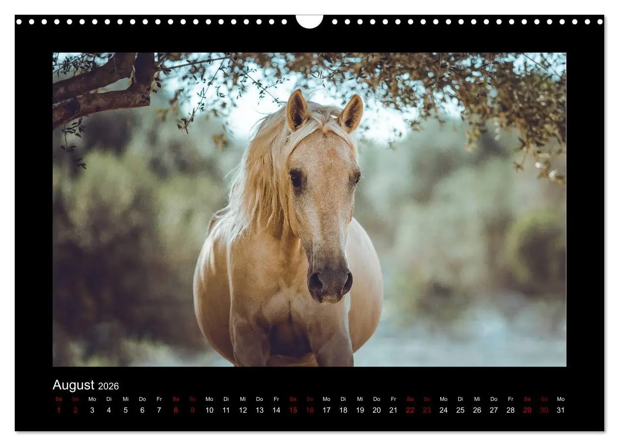 Bild: 9783457923566 | Die Faszinierende Welt der Pferde (Wandkalender 2026 DIN A3 quer),...