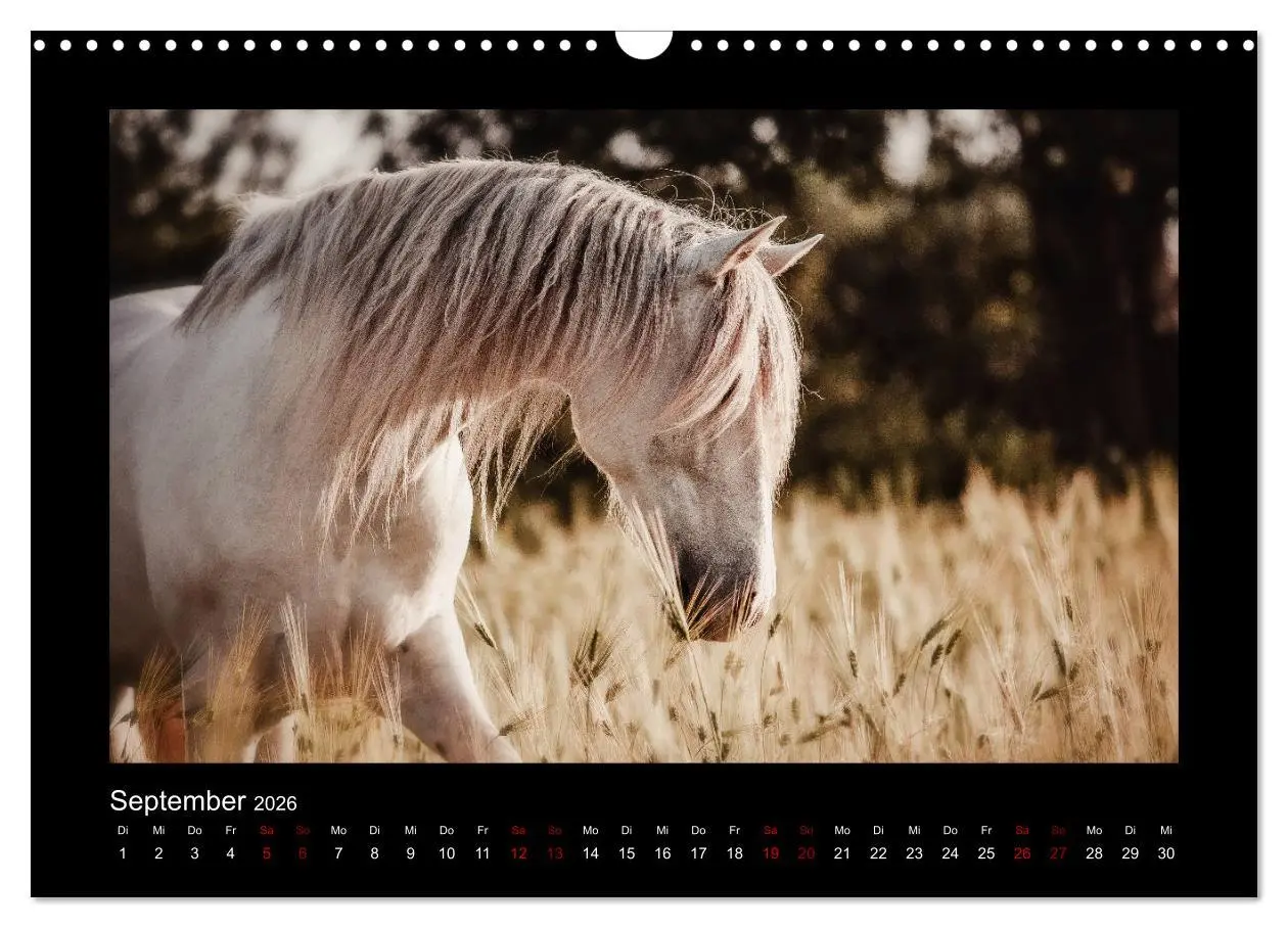 Bild: 9783457923566 | Die Faszinierende Welt der Pferde (Wandkalender 2026 DIN A3 quer),...