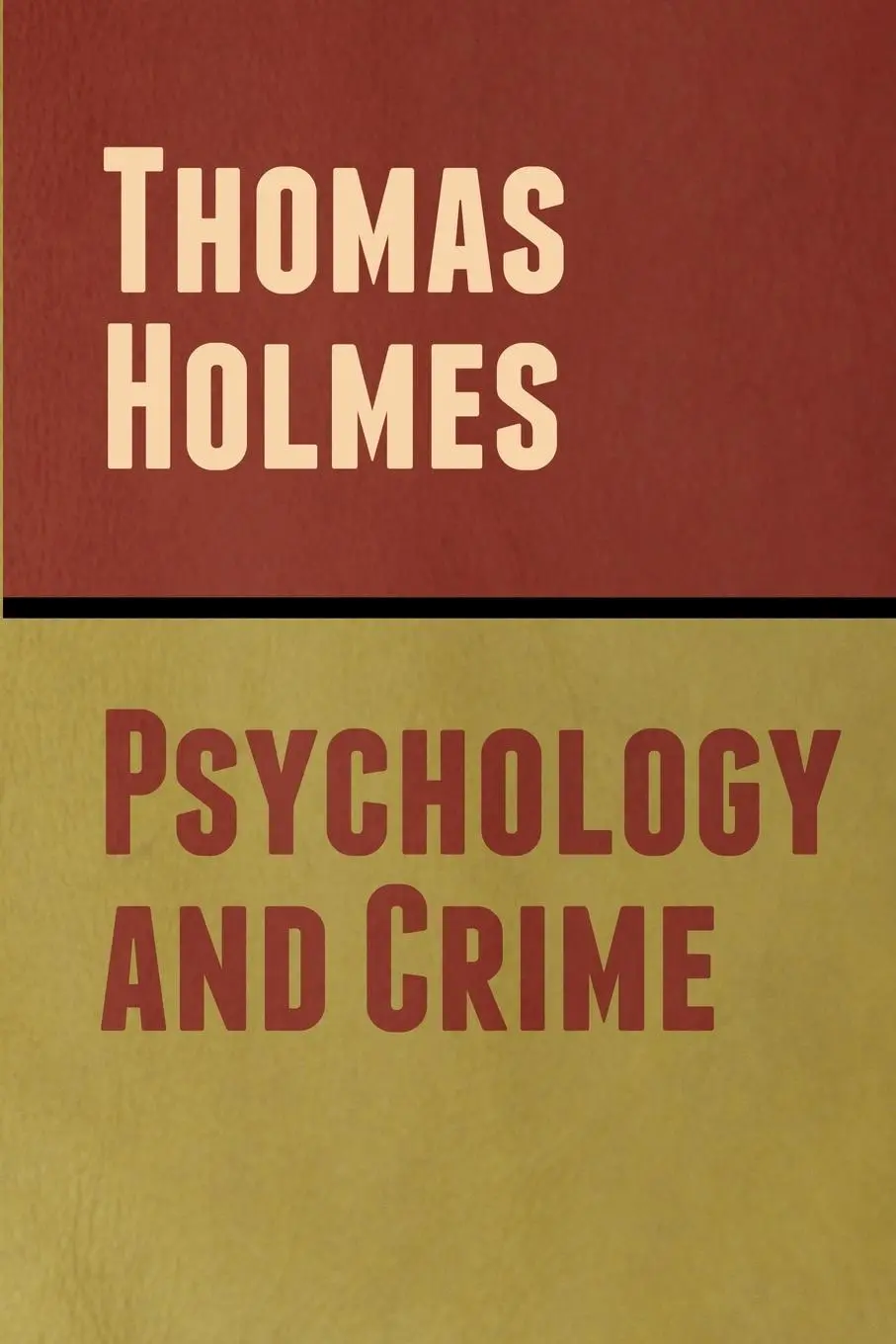 Cover: 9798888303566 | Psychology and Crime | Thomas Holmes | Taschenbuch | Englisch | 2023