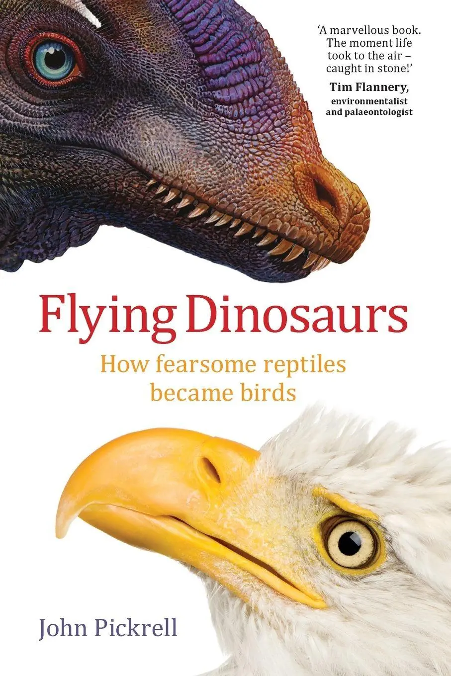 Cover: 9781742233666 | Flying Dinosaurs | How fearsome reptiles became birds | John Pickrell Cover: 9781742233666 | Flying Dinosaurs | How fearsome reptiles became birds | John Pickrell