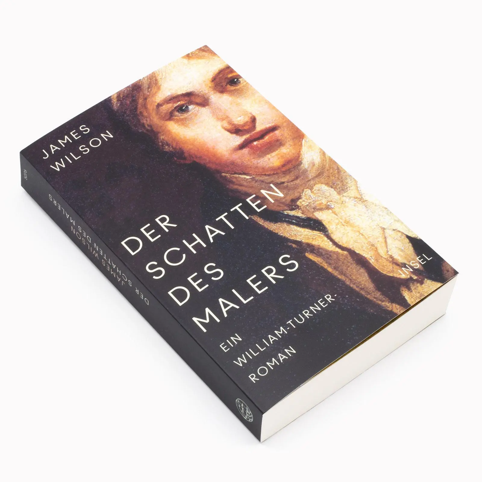 Bild: 9783458683766 | Der Schatten des Malers | James Wilson | Taschenbuch | 507 S. | 2024