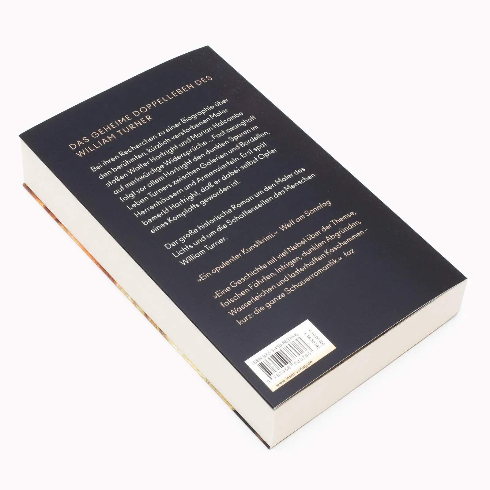 Bild: 9783458683766 | Der Schatten des Malers | James Wilson | Taschenbuch | 507 S. | 2024