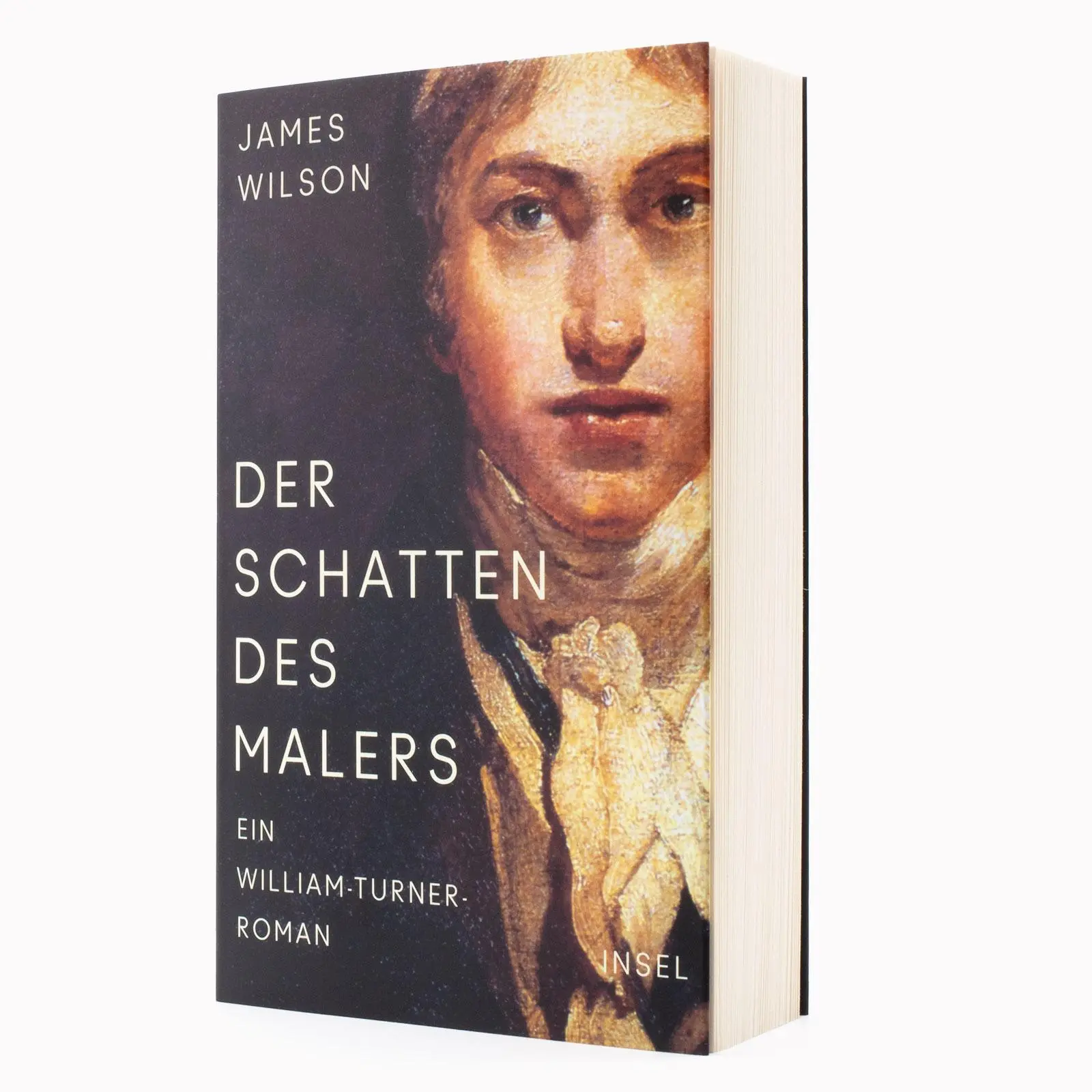 Bild: 9783458683766 | Der Schatten des Malers | James Wilson | Taschenbuch | 507 S. | 2024