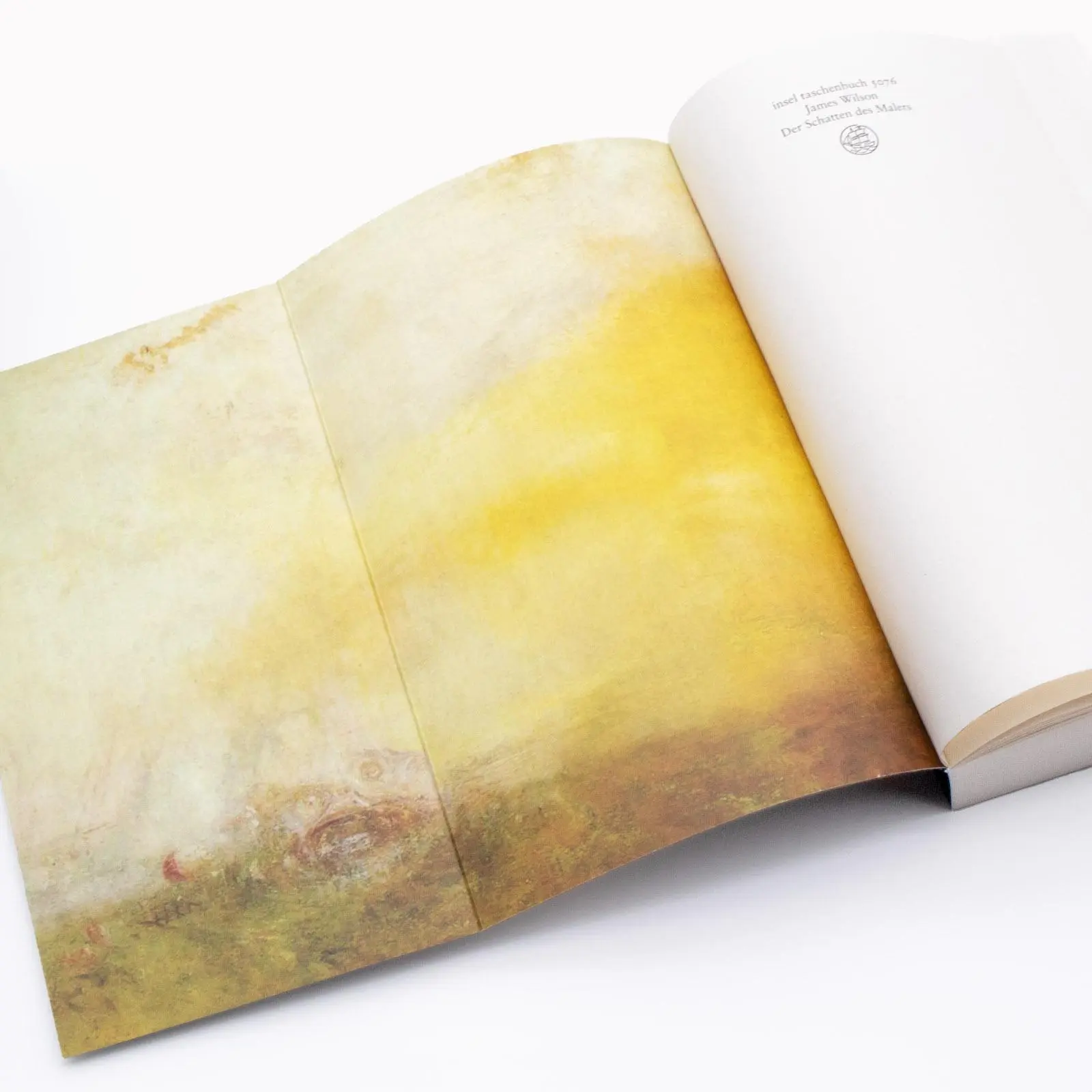 Bild: 9783458683766 | Der Schatten des Malers | James Wilson | Taschenbuch | 507 S. | 2024