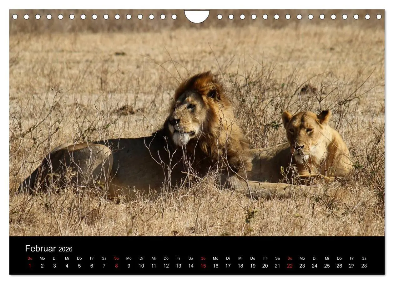 Bild: 9783516163766 | Tansania (Wandkalender 2026 DIN A4 quer), CALVENDO Monatskalender