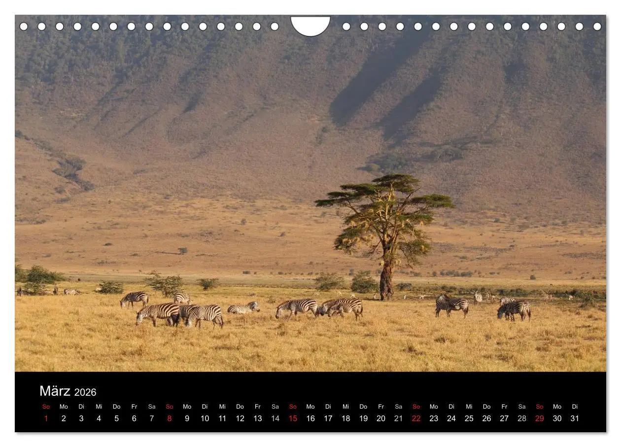 Bild: 9783516163766 | Tansania (Wandkalender 2026 DIN A4 quer), CALVENDO Monatskalender