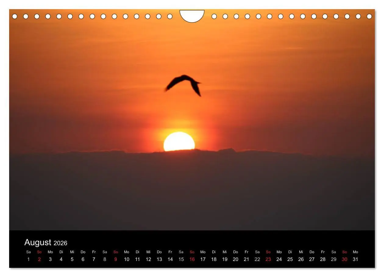 Bild: 9783516163766 | Tansania (Wandkalender 2026 DIN A4 quer), CALVENDO Monatskalender