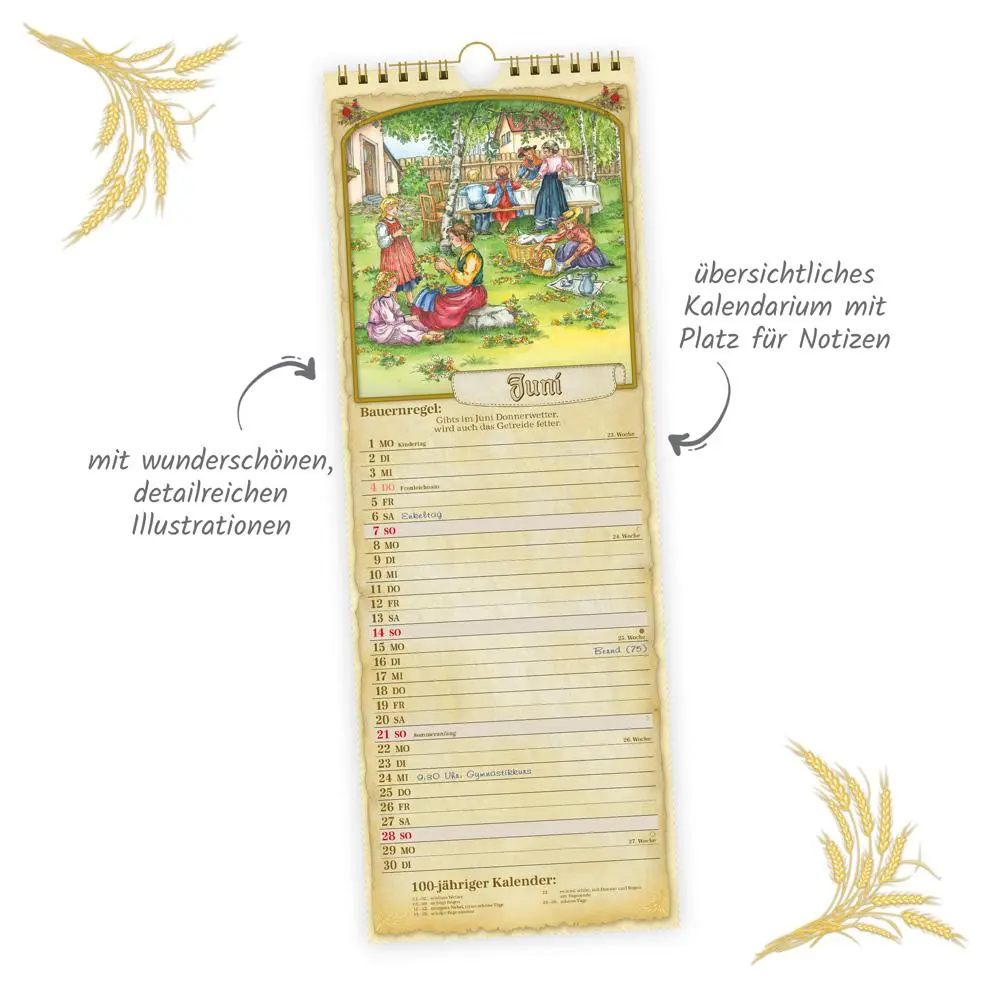 Bild: 9783988023766 | Trötsch Maxi-Streifenkalender Bauernkalender 2026 mit...