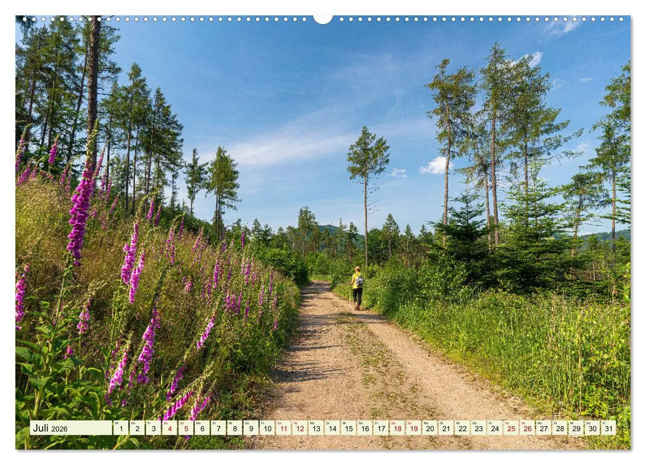 Bild: 9783457513866 | Zittauer Gebirge-Urlaubsromantik und Wanderparadies (Wandkalender...