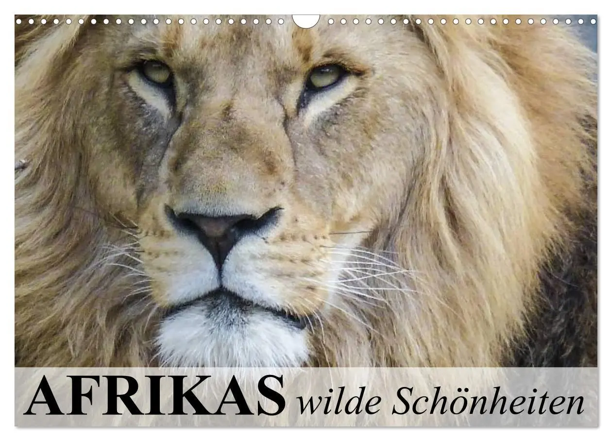 Cover: 9783516153866 | Afrikas wilde Schönheiten (Wandkalender 2026 DIN A3 quer), CALVENDO...