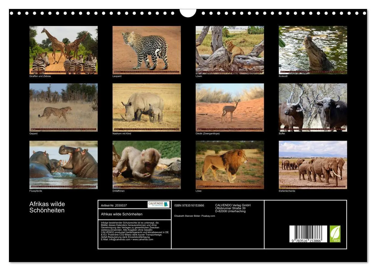 Bild: 9783516153866 | Afrikas wilde Schönheiten (Wandkalender 2026 DIN A3 quer), CALVENDO...