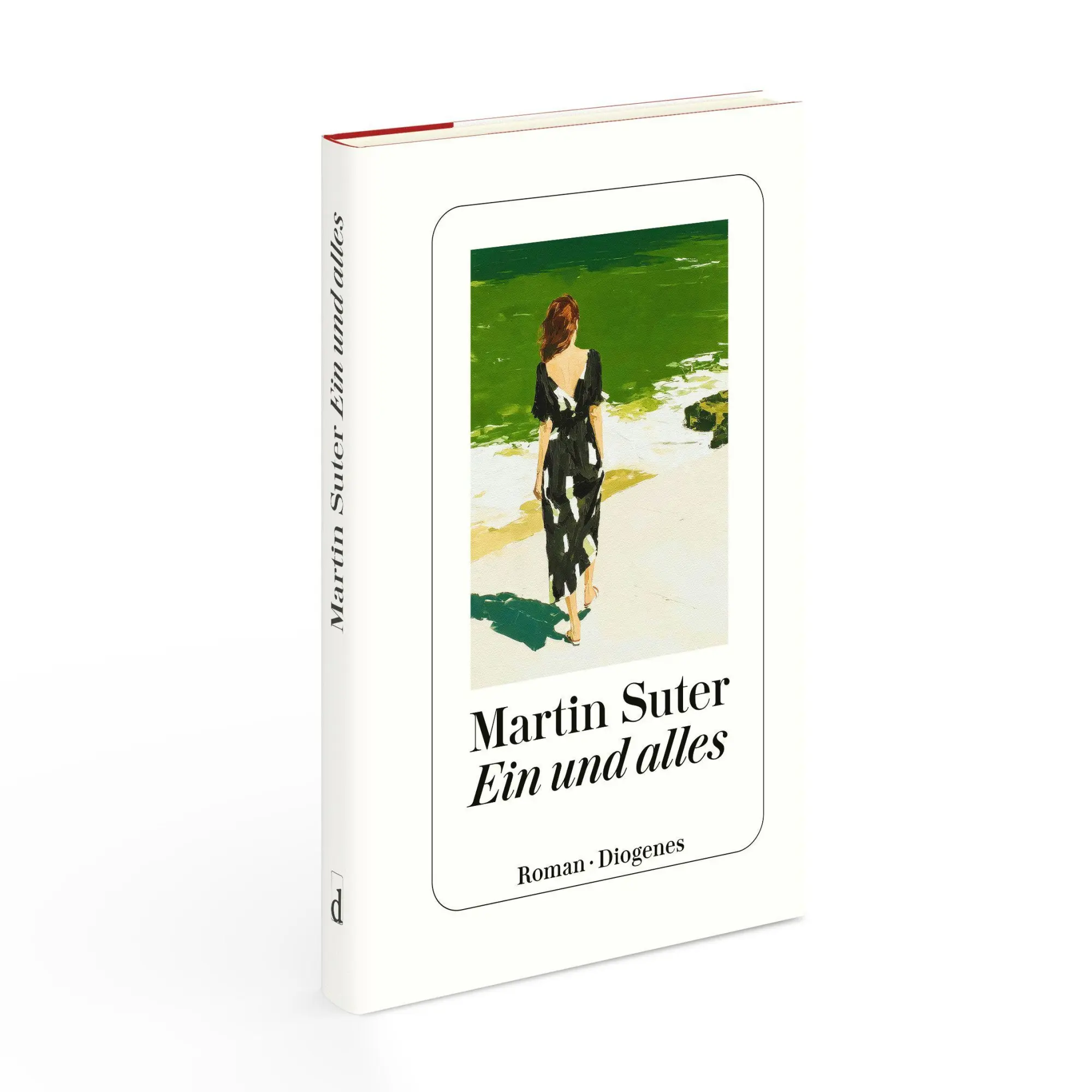 Bild: 9783257073966 | Ein und Alles | Martin Suter | Buch | 304 S. | Deutsch | 2026